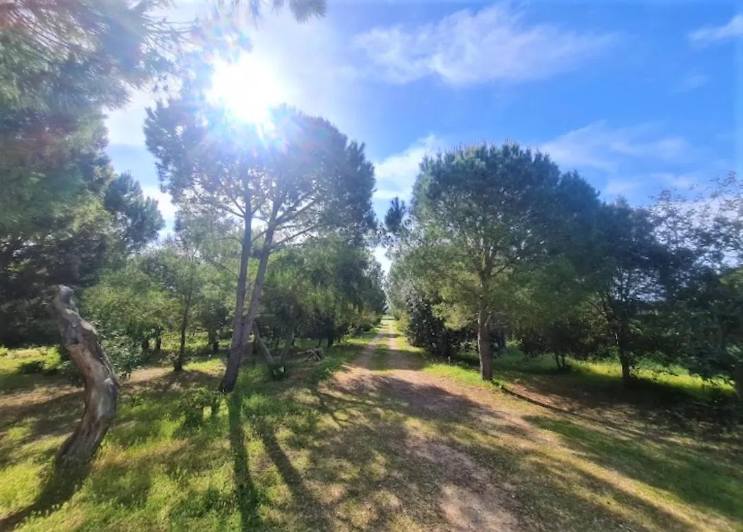 Villa Il Lentischio del Sinis Putzu Idu Italia